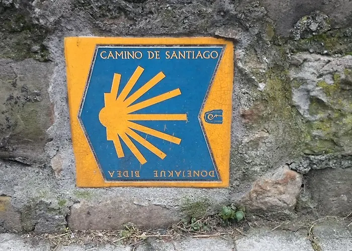 Iron بيت شباب *