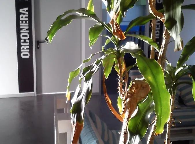 奥尔艾恩旅舍 * 毕尔巴鄂